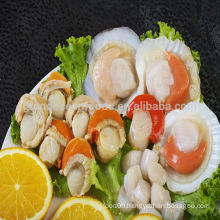 Frozen scallops adductor